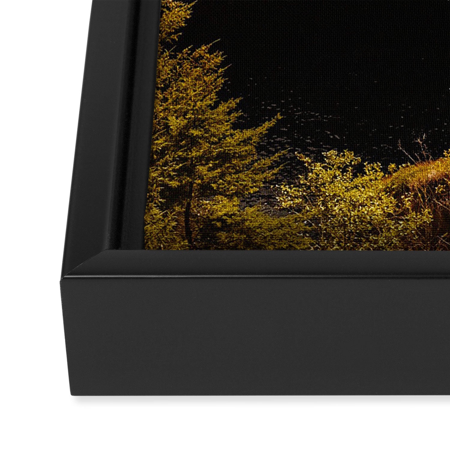 Samuel H Boardman Corridor  Framed Canvas Print Gallery Image 3