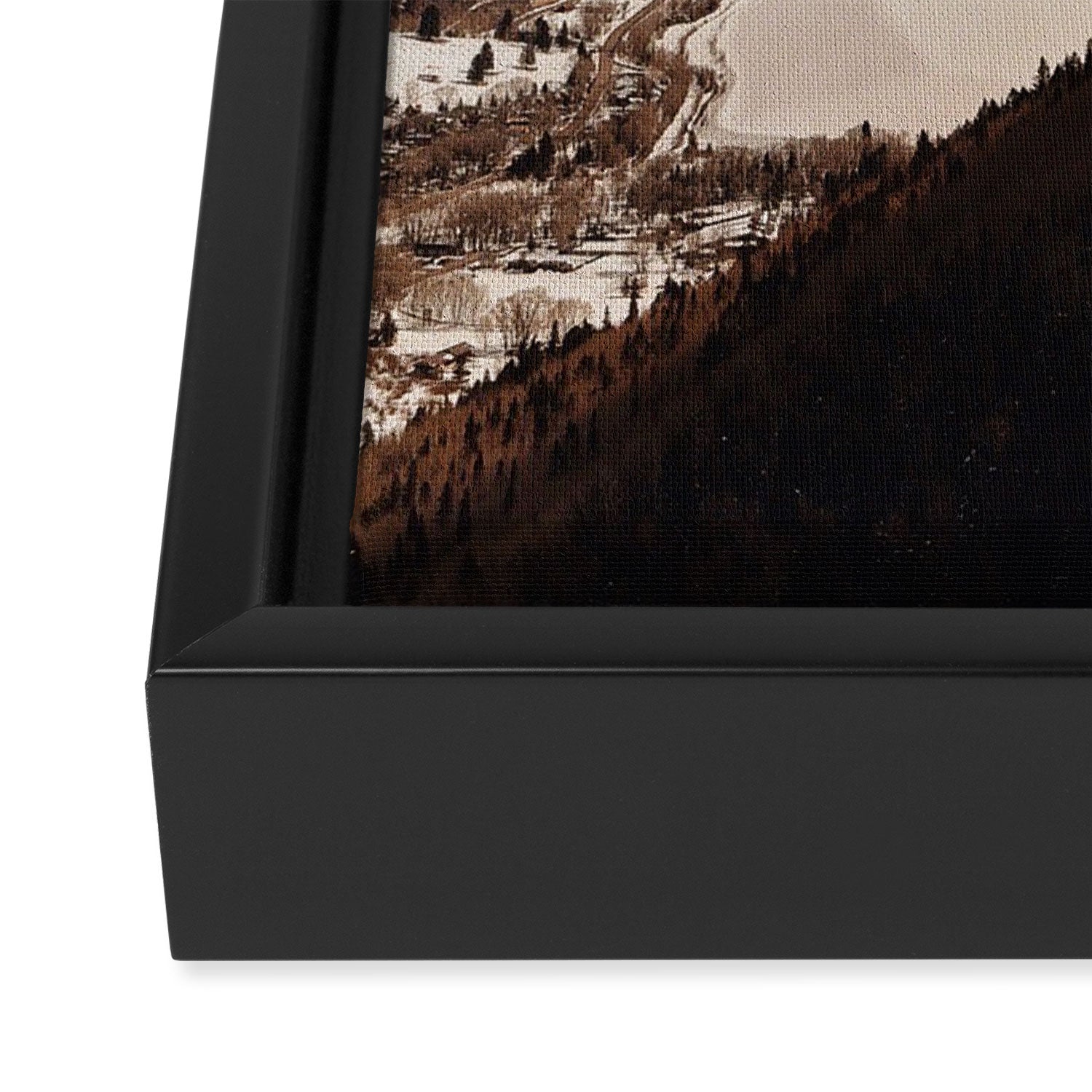 Telluride Gondola Framed Canvas Print Gallery Image 3