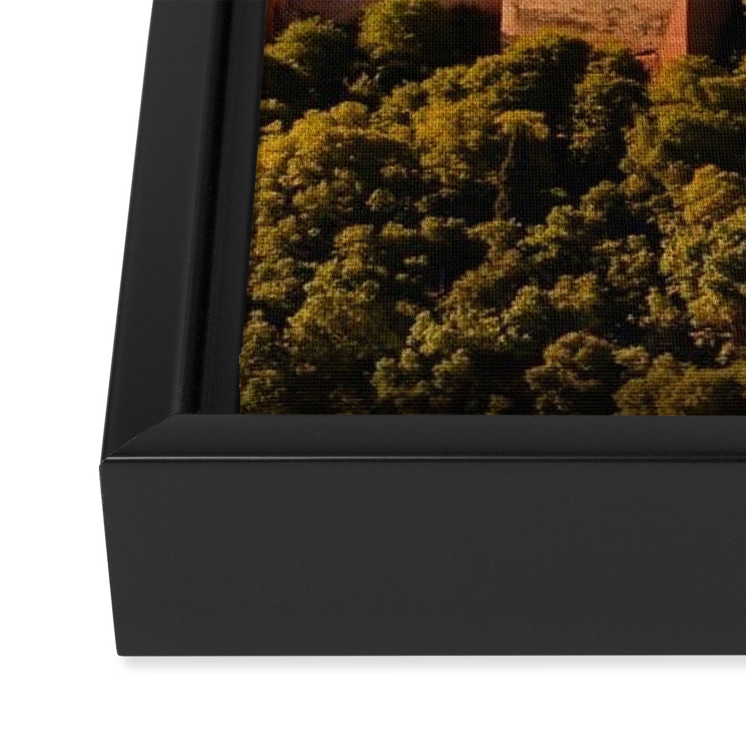 The Alhambra From Afar Framed Canvas Print Gallery Image 3