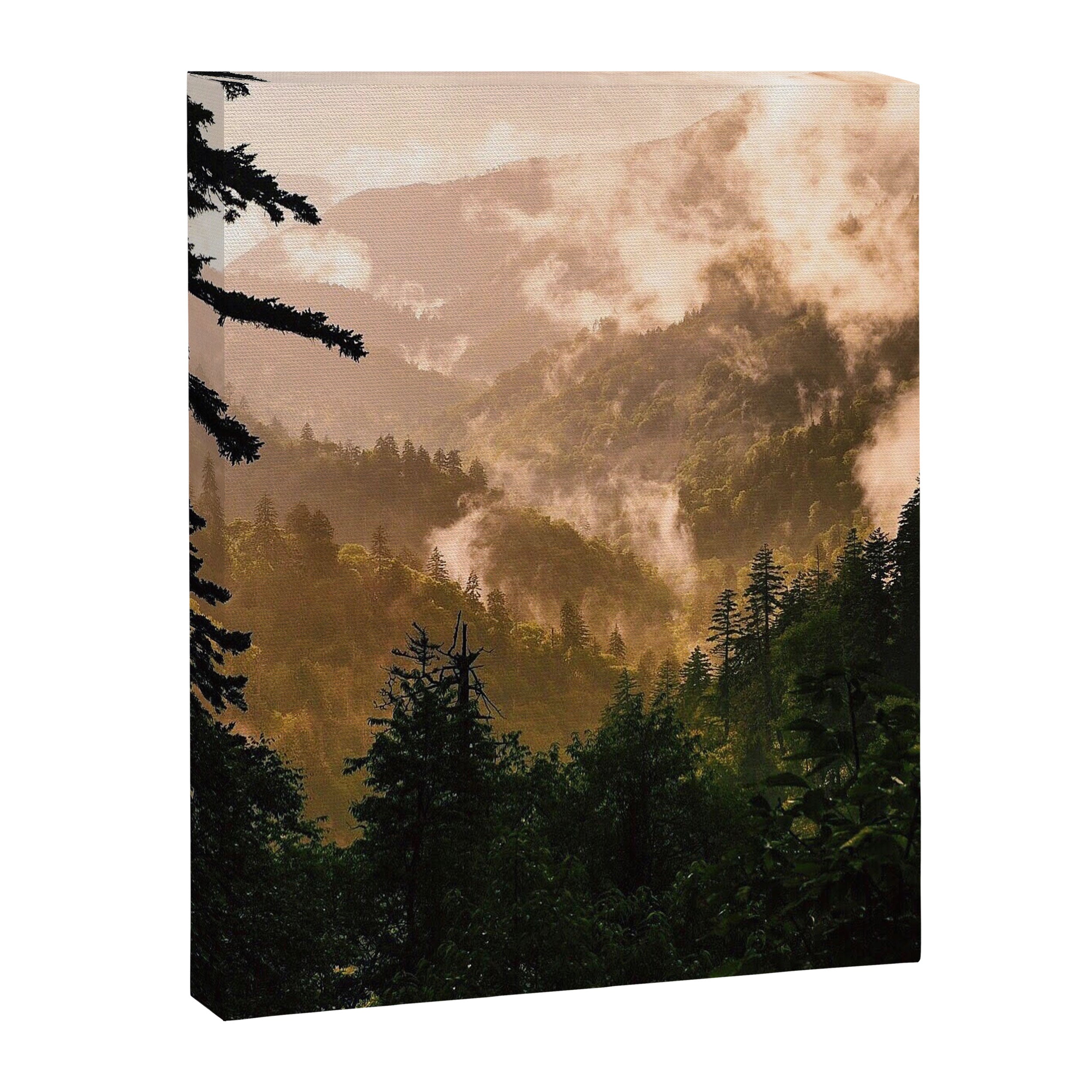 The Smokies Canvas Print Gallery Image 6