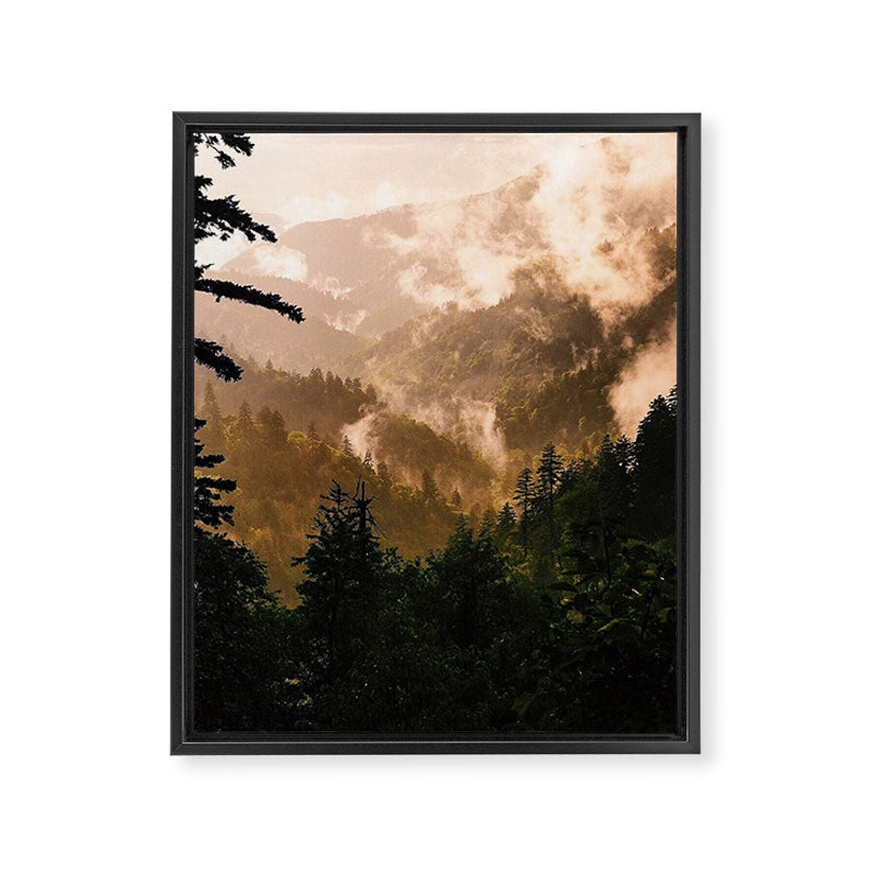 The Smokies Framed Canvas Print Gallery Image 6