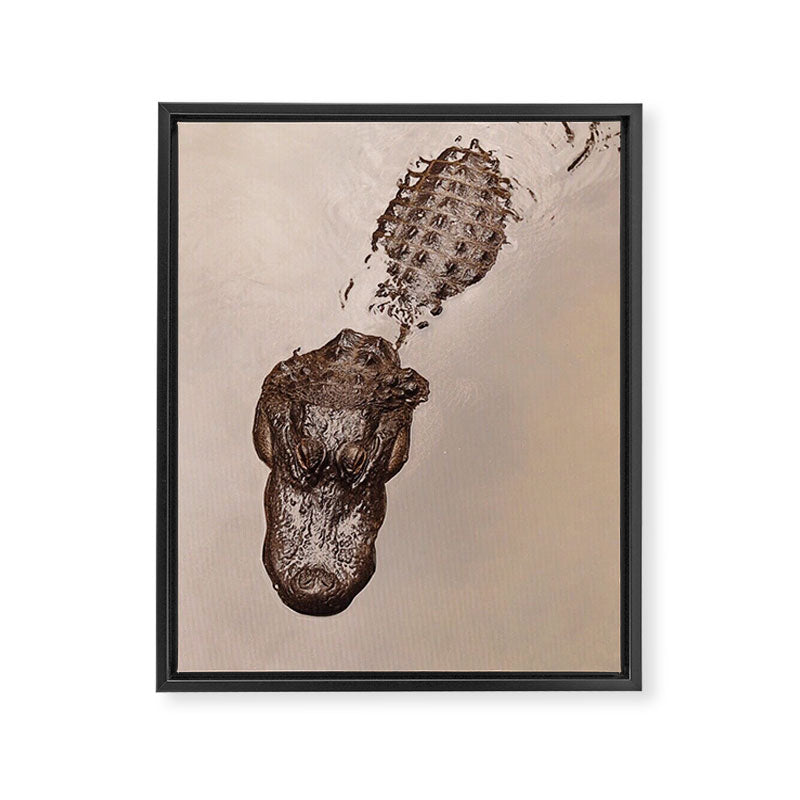 The Swamp Framed Canvas Print Gallery Image 6