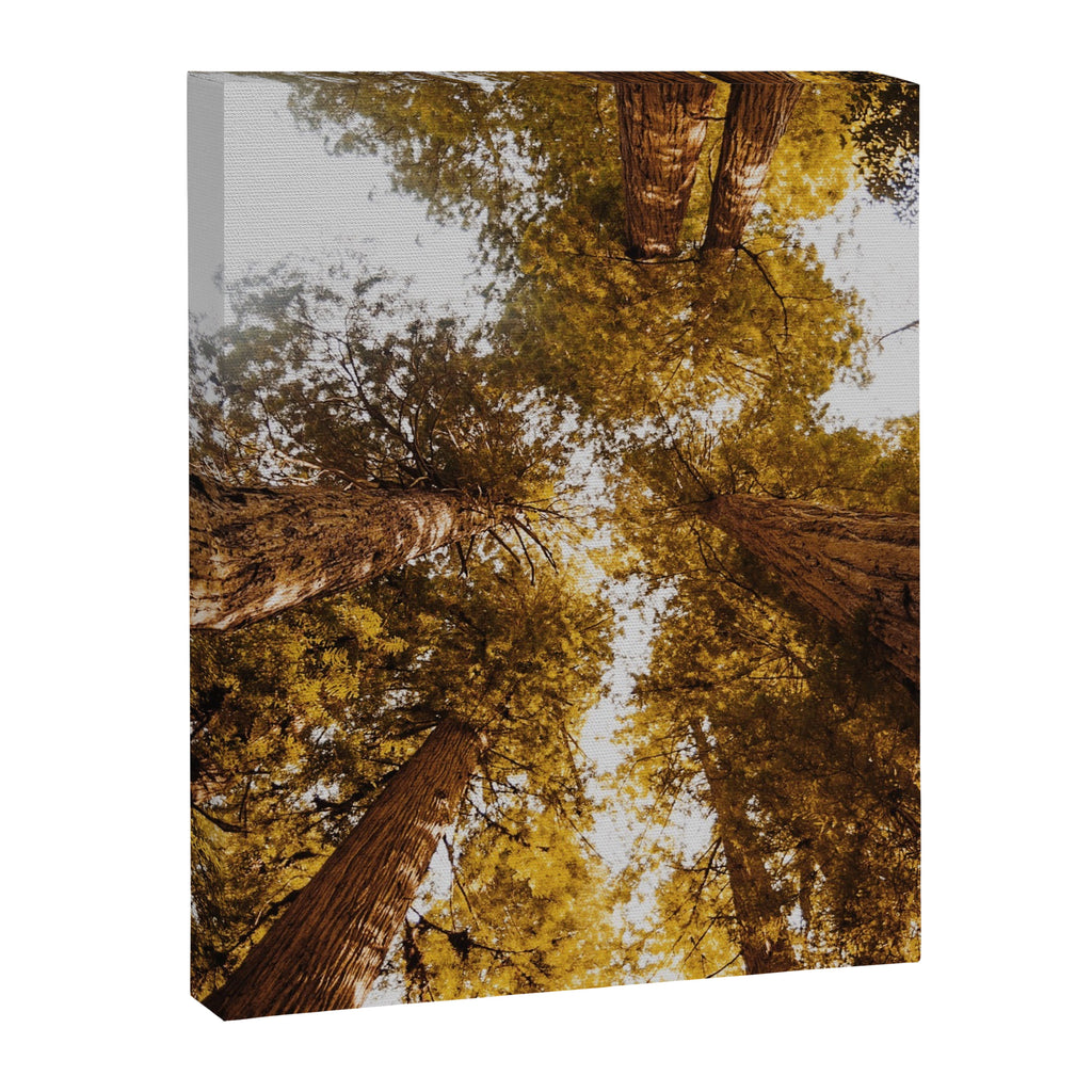 Things Are Looking Up Canvas Print Gallery Image 6