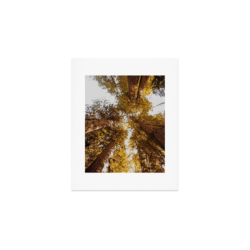 Things Are Looking Up Art Print Gallery Image 1