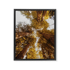 Things Are Looking Up Framed Canvas Print Gallery Image 6