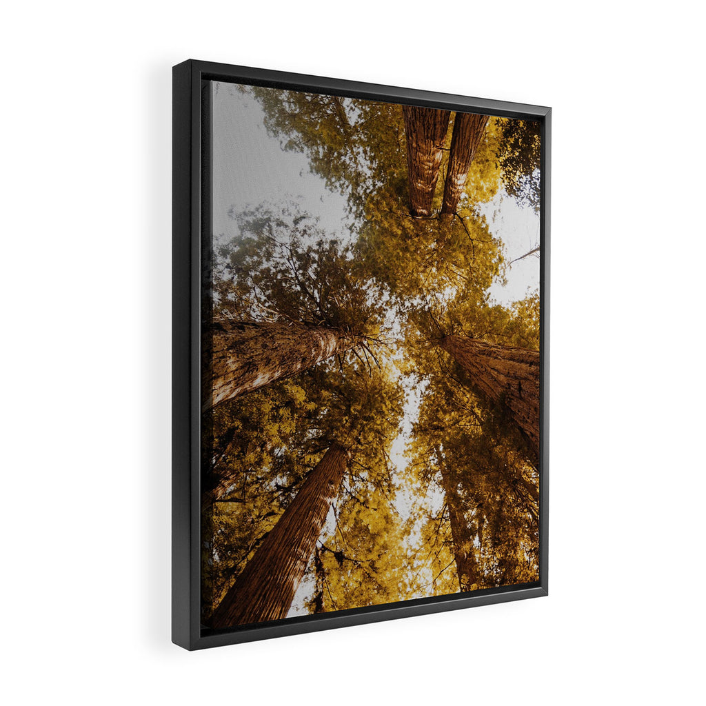 Things Are Looking Up Framed Canvas Print Gallery Image 2