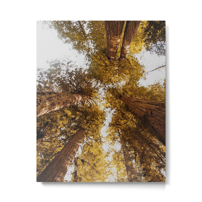 Things Are Looking Up Metal Print Gallery Image 1