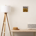 Truffula Trees Canvas Print Gallery Image 2