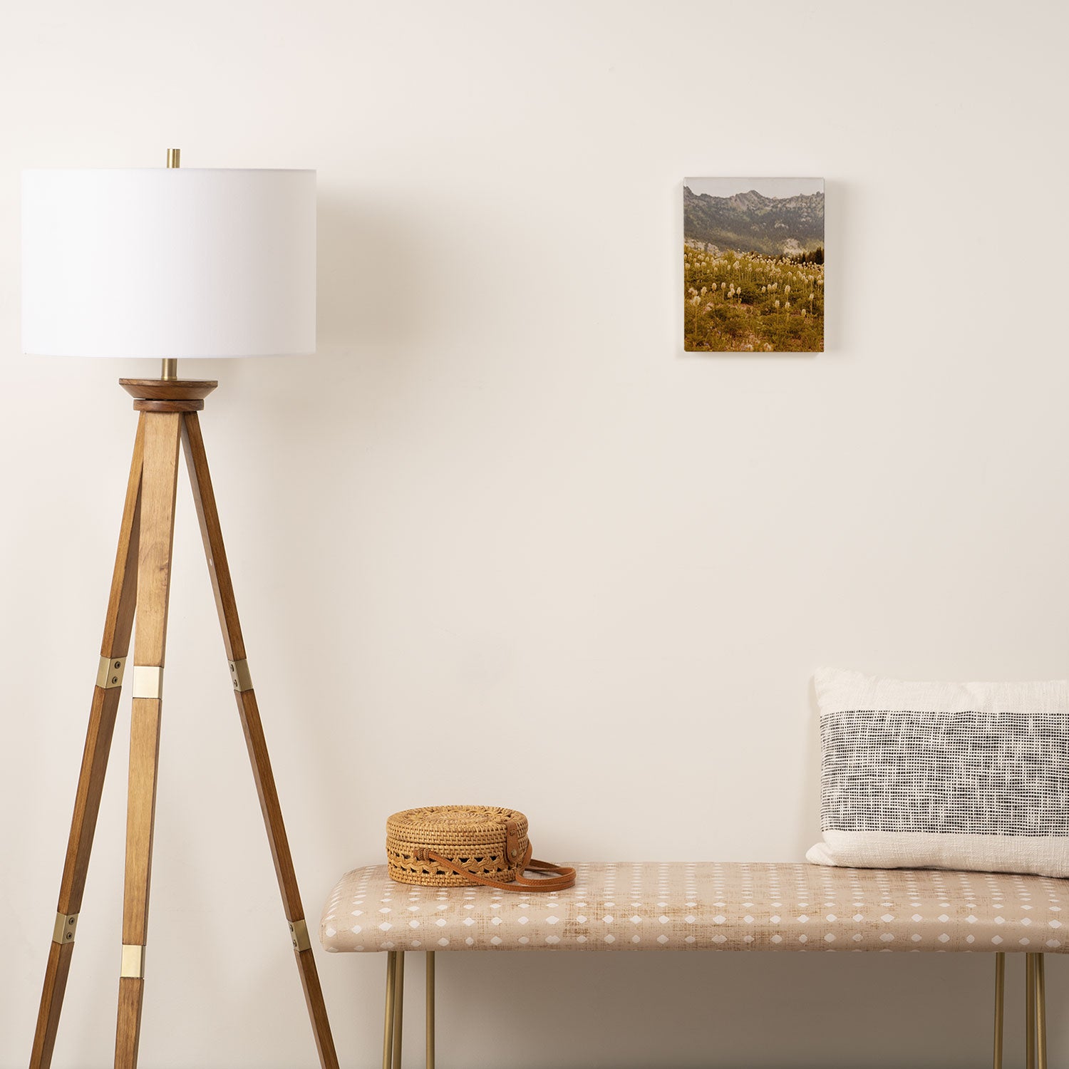 Truffula Trees Canvas Print Gallery Image 2