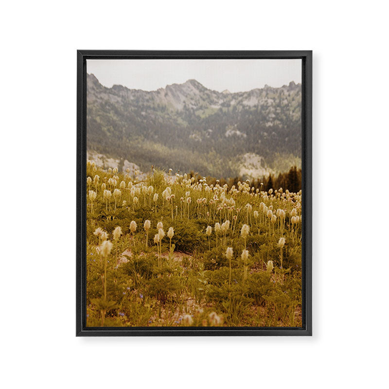 Truffula Trees Framed Canvas Print Gallery Image 6