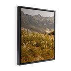 Truffula Trees Framed Canvas Print Gallery Image 2