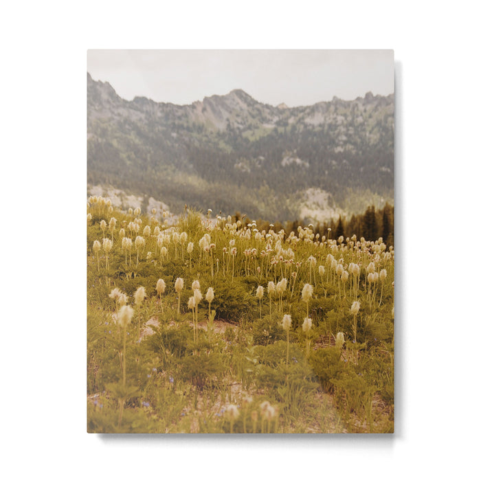 Truffula Trees Metal Print Gallery Image 1