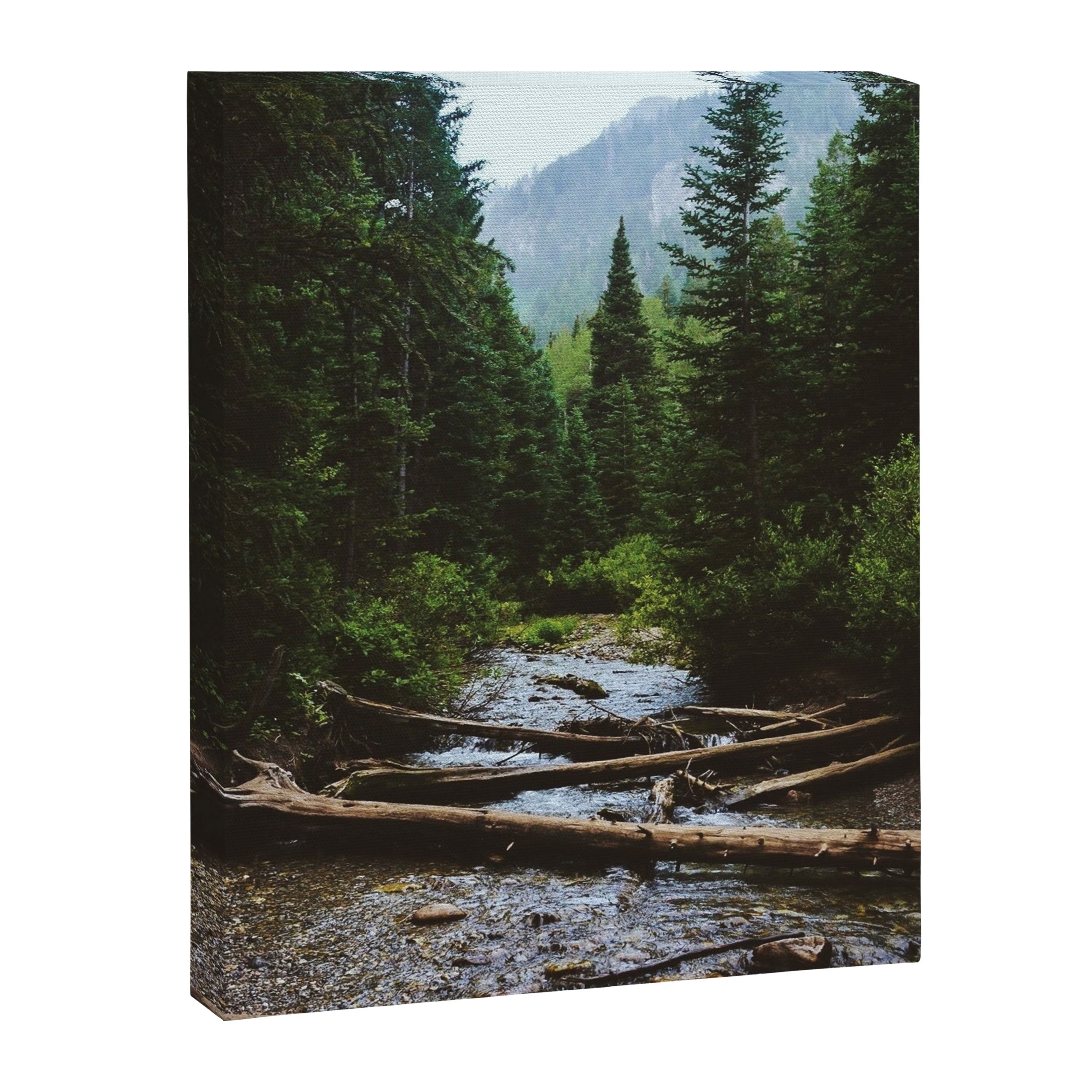 Wasatch Wilderness Canvas Print Gallery Image 6