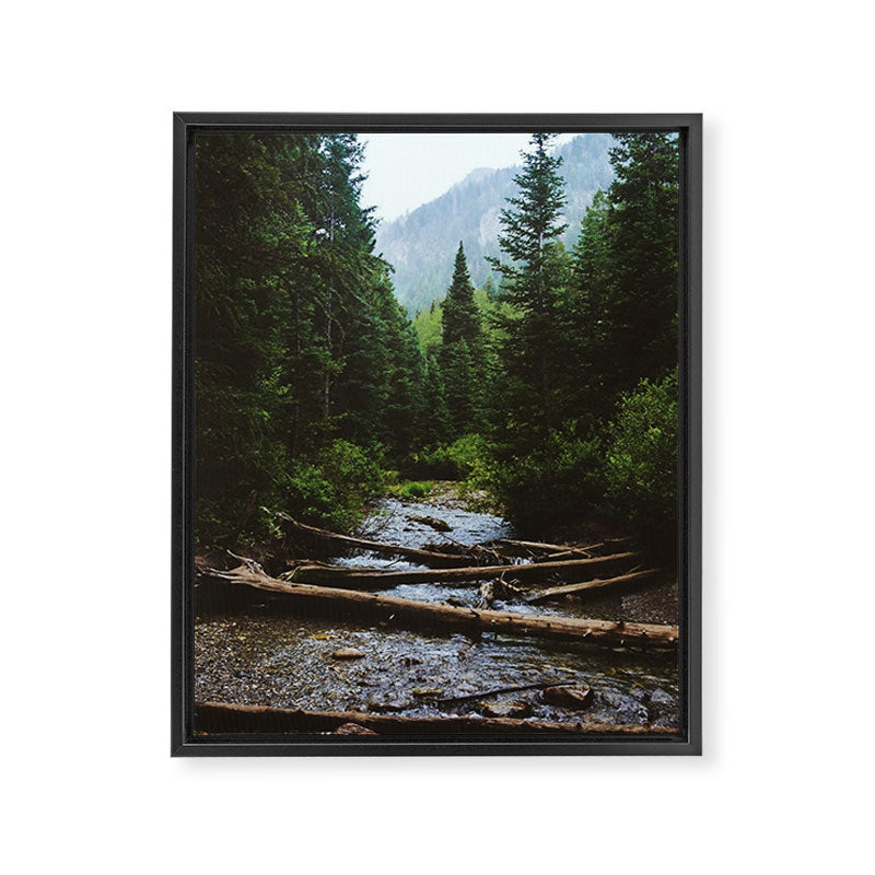 Wasatch Wilderness Framed Canvas Print Gallery Image 6