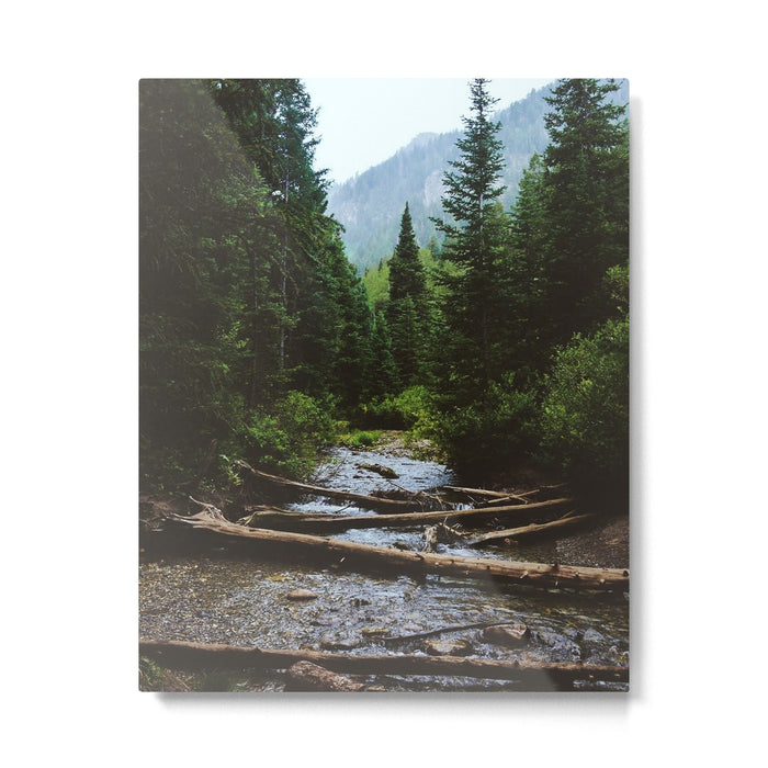 Wasatch Wilderness Metal Print Gallery Image 1