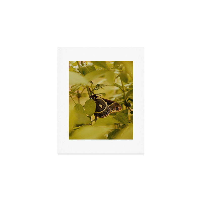 Wyoming Moth Art Print Gallery Image 1