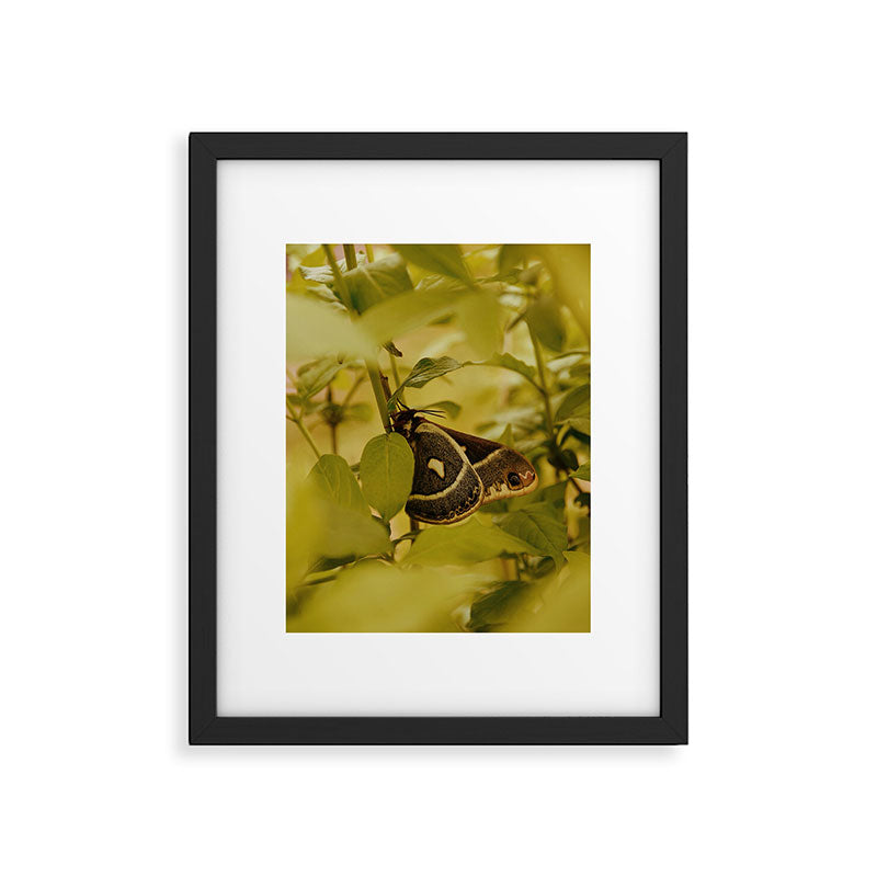 Wyoming Moth Framed Art Print Gallery Image 5