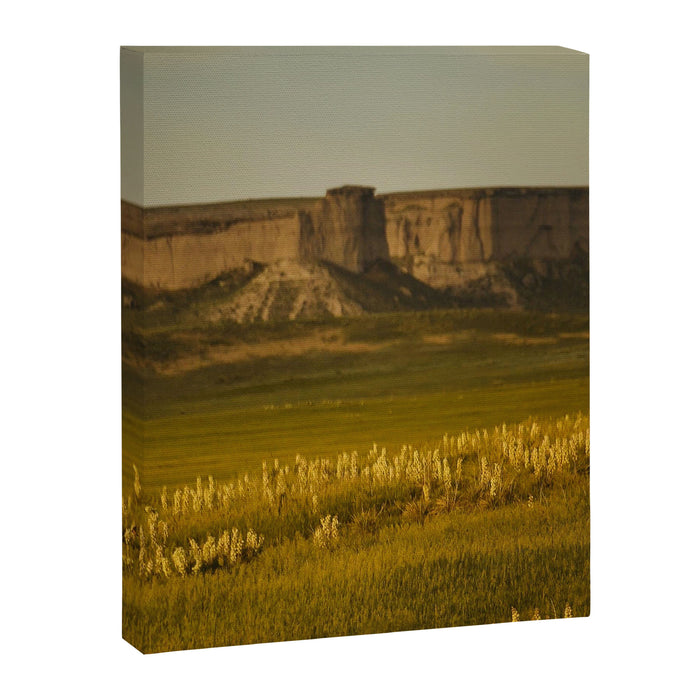 Wyoming Wildflowers Canvas Print Gallery Image 1