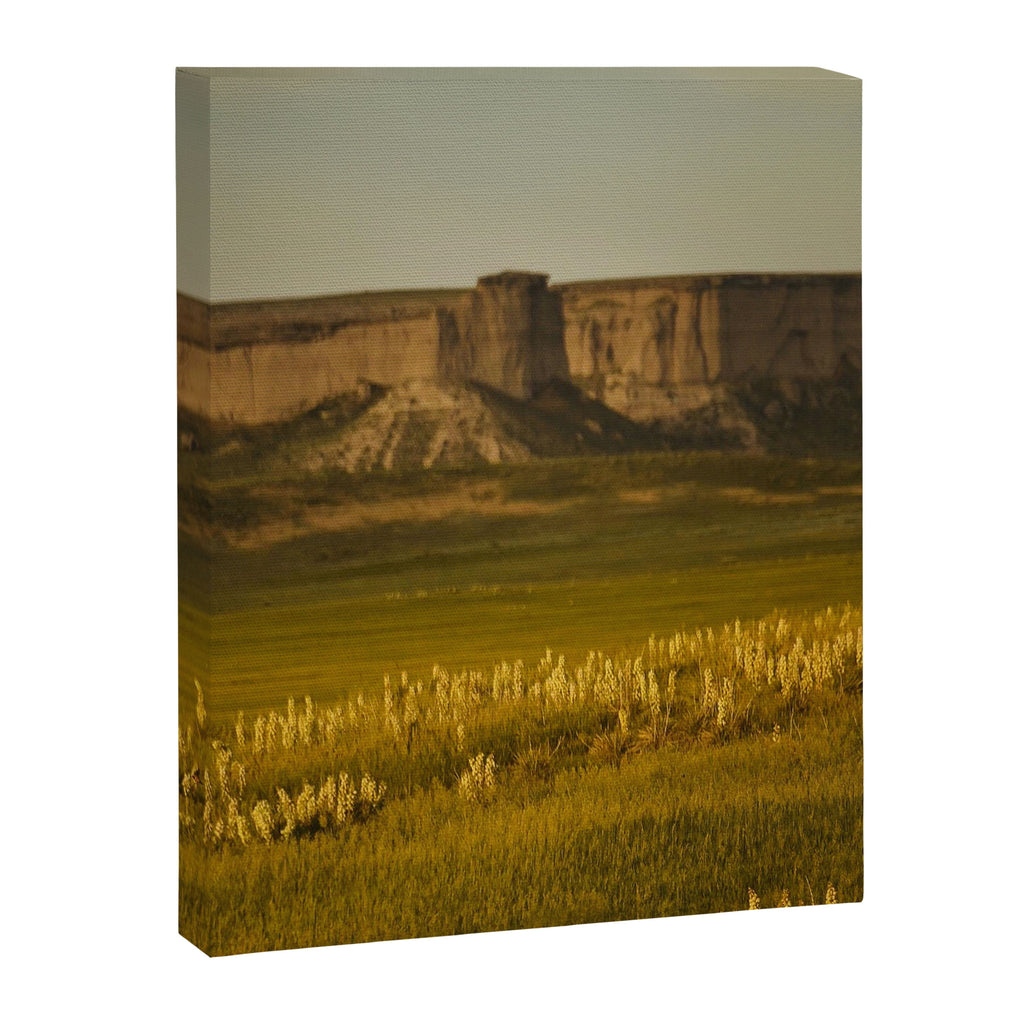 Wyoming Wildflowers Canvas Print Gallery Image 6