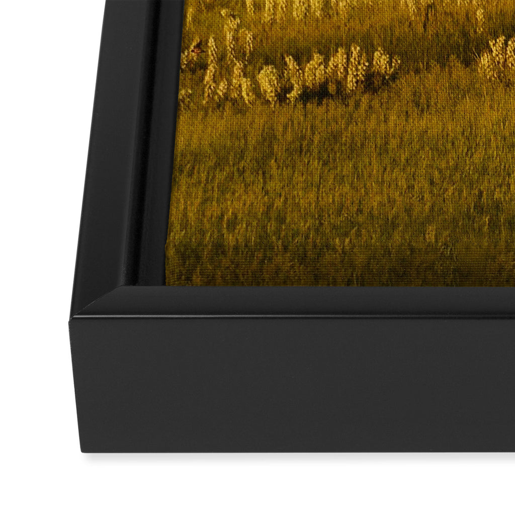 Wyoming Wildflowers Framed Canvas Print Gallery Image 3