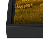Wyoming Wildflowers Framed Canvas Print Gallery Image 3