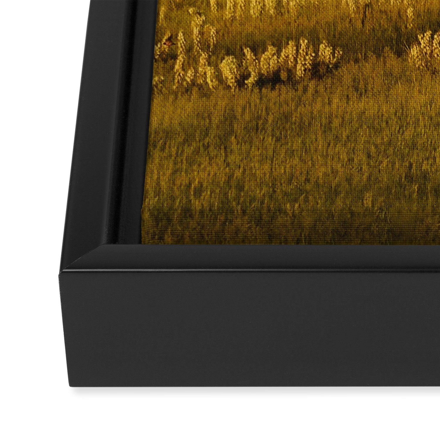 Wyoming Wildflowers Framed Canvas Print Gallery Image 3