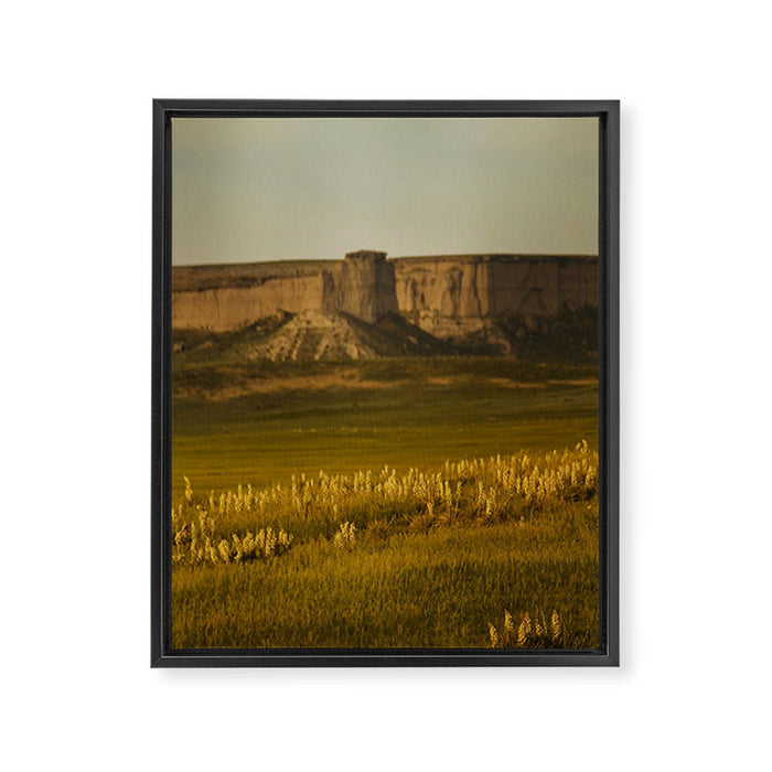 Wyoming Wildflowers Framed Canvas Print Gallery Image 1