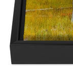 Yellowstone Buffalo Framed Canvas Print Gallery Image 3