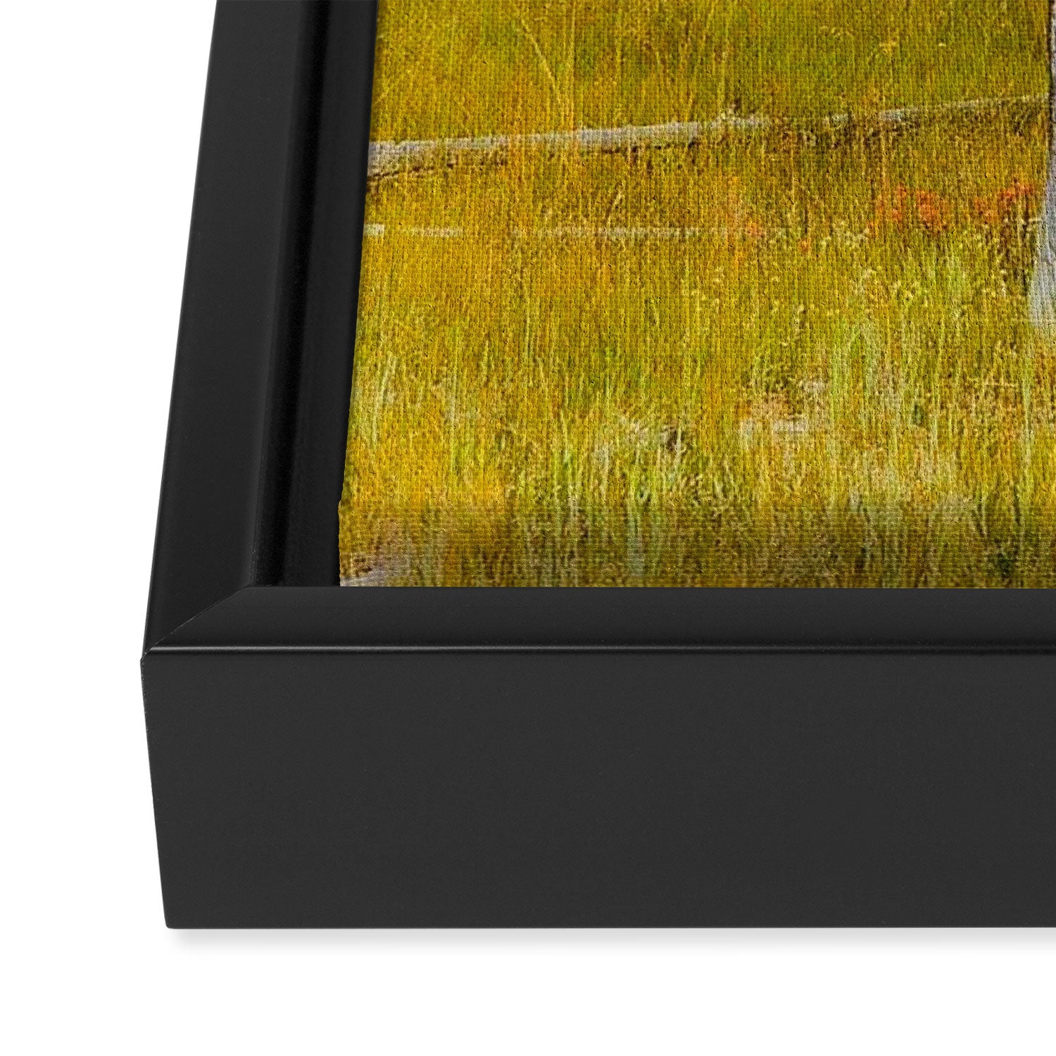 Yellowstone Buffalo Framed Canvas Print Gallery Image 3
