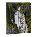 Yellowstone Waterfall II Canvas Print Gallery Image 6