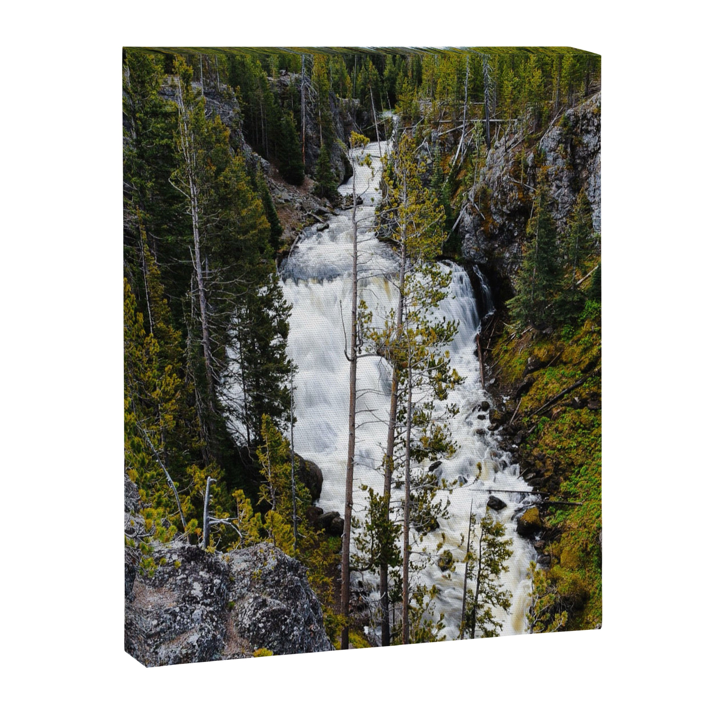 Yellowstone Waterfall II Canvas Print Gallery Image 6