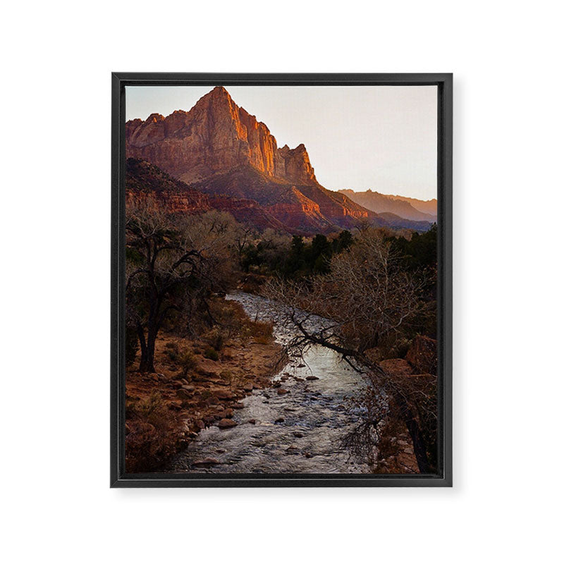 Zion National Park Framed Canvas Print Gallery Image 6