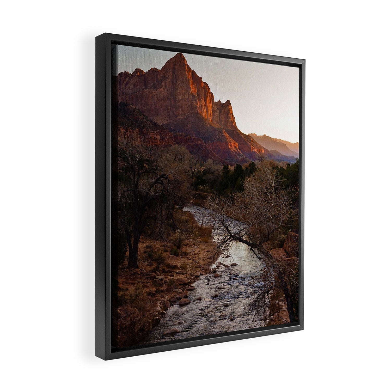 Zion National Park Framed Canvas Print Gallery Image 2