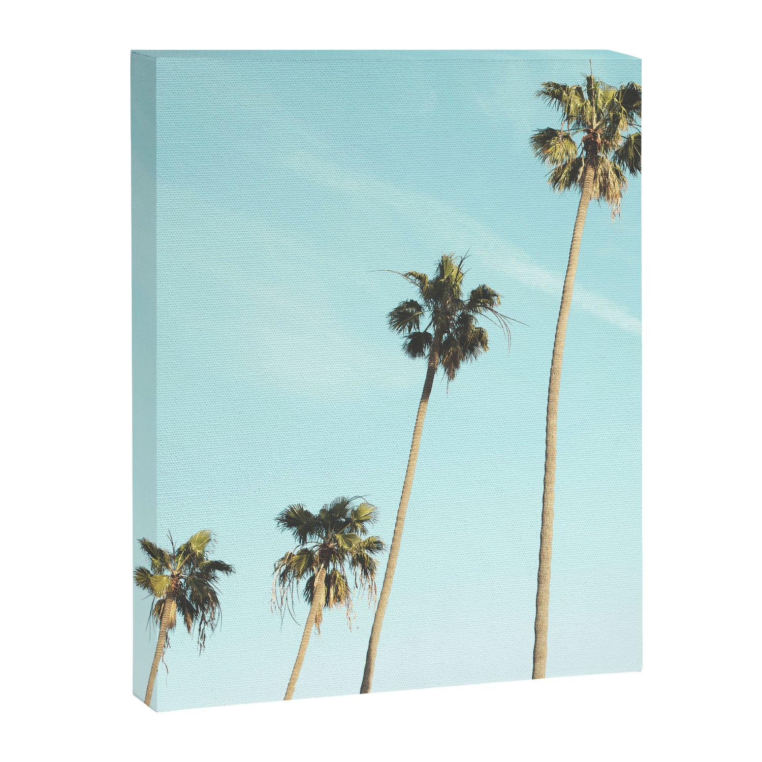 Palm Trees II Canvas Print Gallery Image 6