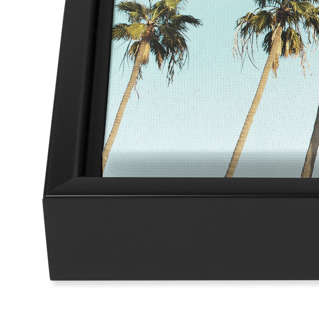 Palm Trees II Framed Canvas Print Gallery Image 3