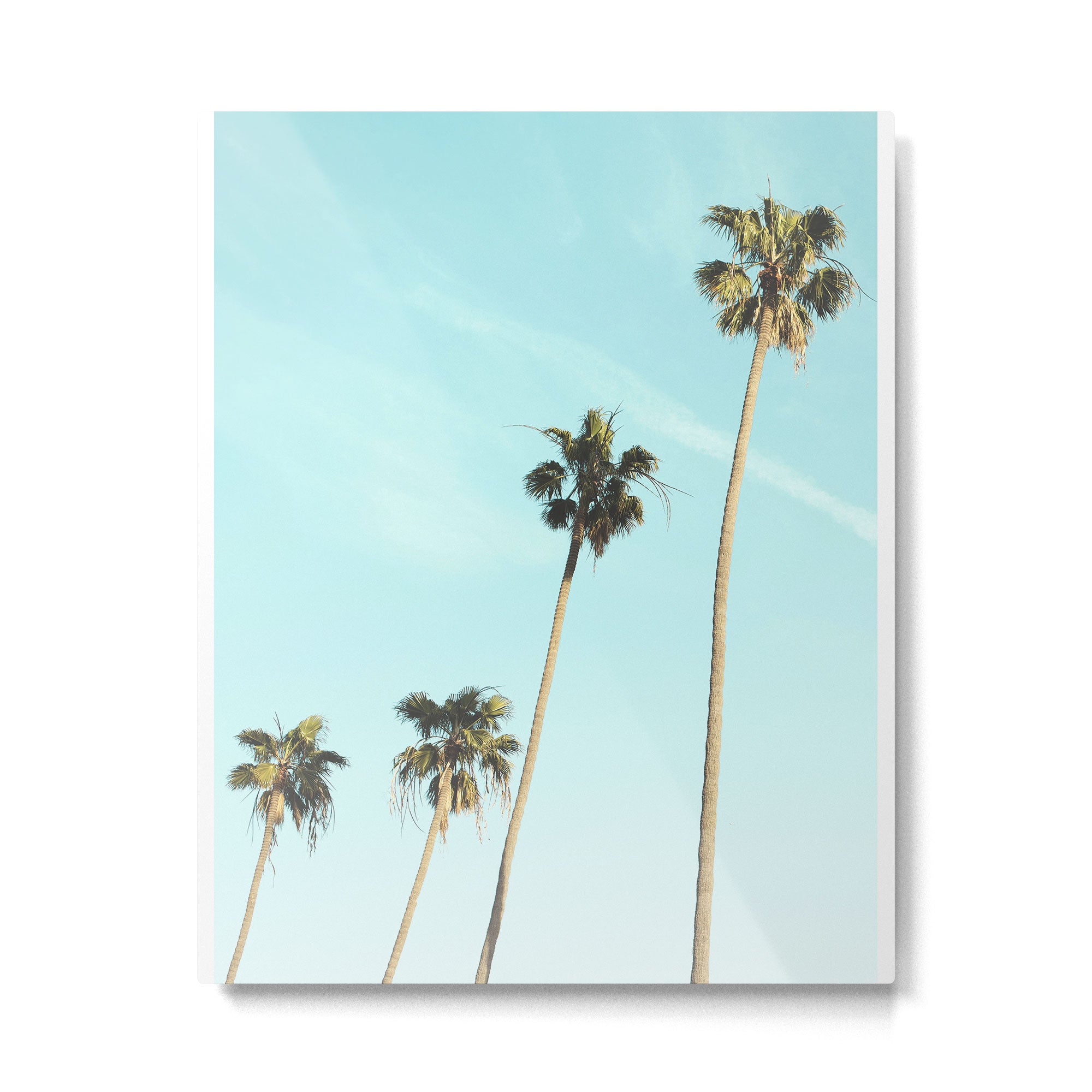 Palm Trees II Metal Print Gallery Image 4