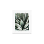 Cactus Leaves // Green Southwest Home Decor Vibes Desert Hombre Plant Photograph Art Print Gallery Image 1