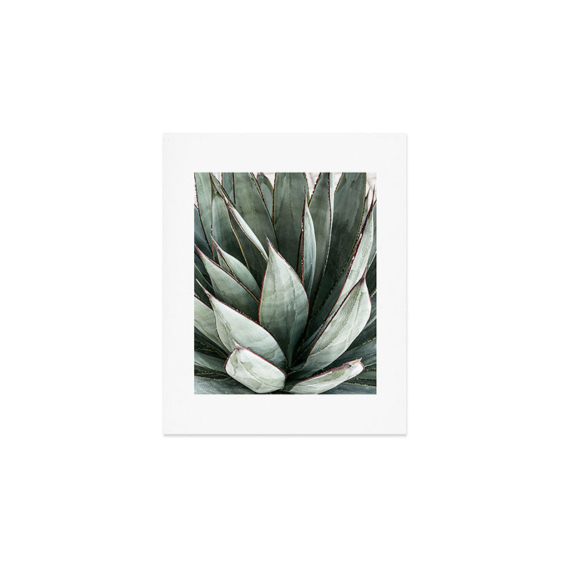 Cactus Leaves // Green Southwest Home Decor Vibes Desert Hombre Plant Photograph Art Print Gallery Image 1