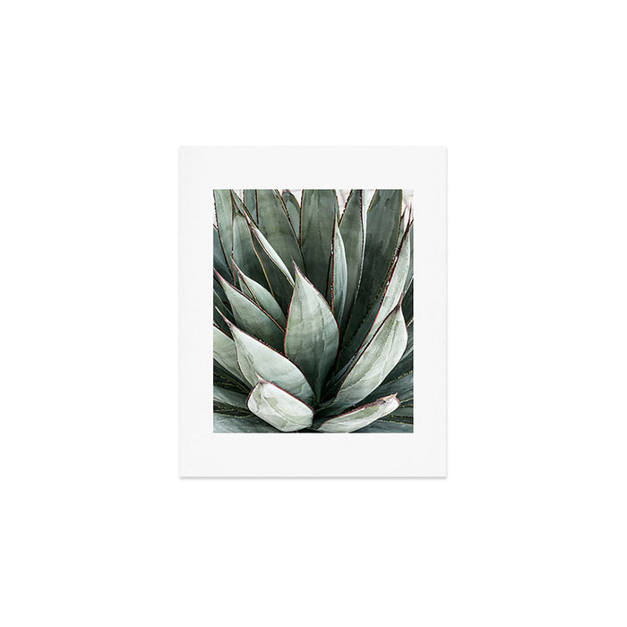 Cactus Leaves // Green Southwest Home Decor Vibes Desert Hombre Plant Photograph Art Print Gallery Image 1