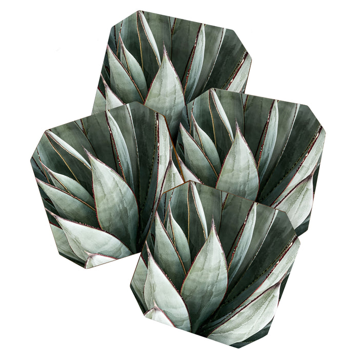 Cactus Leaves // Green Southwest Home Decor Vibes Desert Hombre Plant Photograph Coaster Gallery Image 1