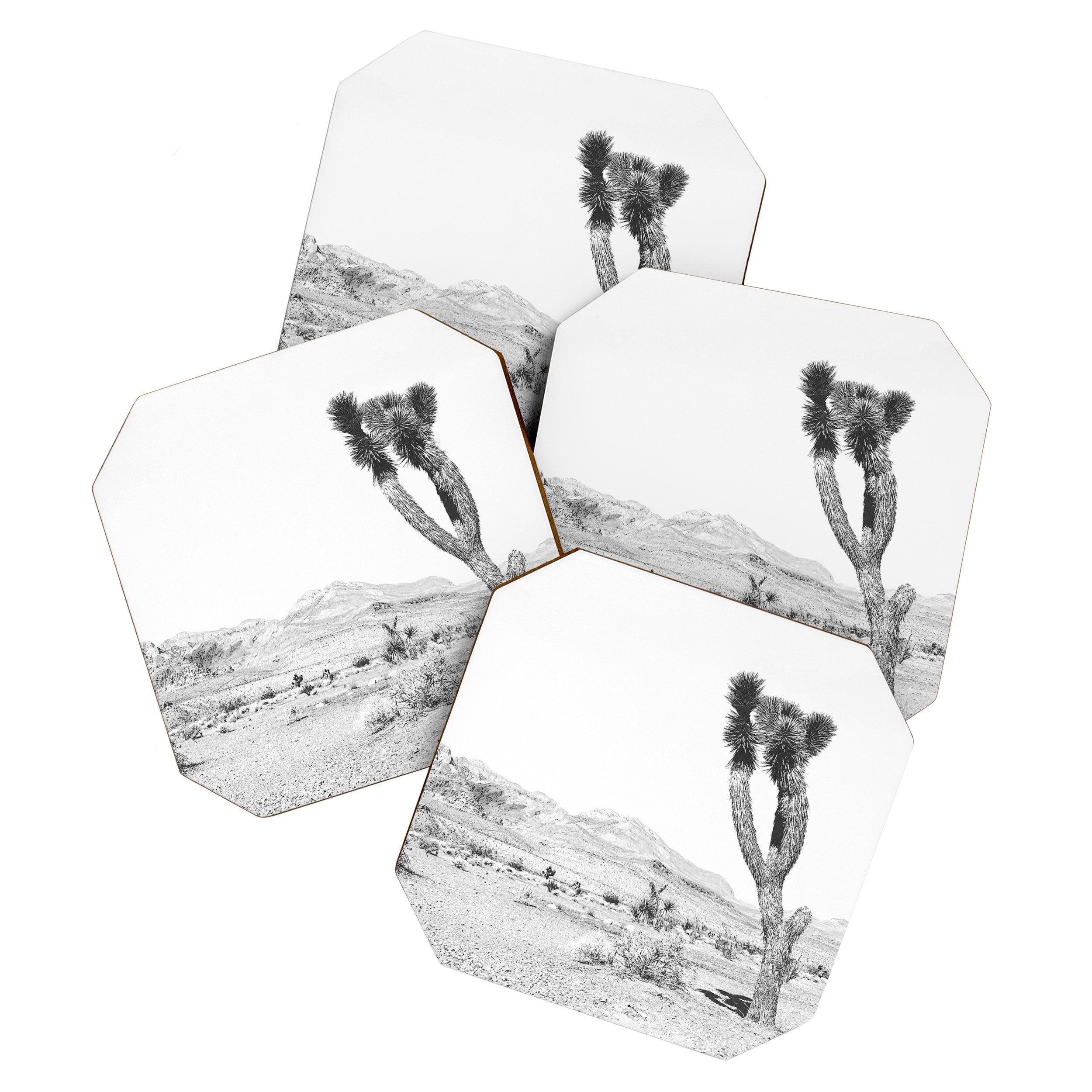 Vintage Desert Scape B&W // Cactus Nature Summer Sun Landscape Black and White Photography Coaster Gallery Image 1