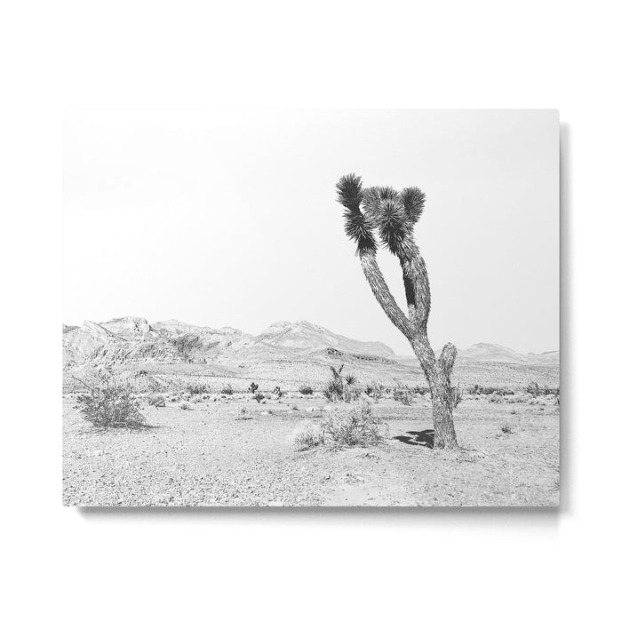 Vintage Desert Scape B&W // Cactus Nature Summer Sun Landscape Black and White Photography Metal Print Gallery Image 1