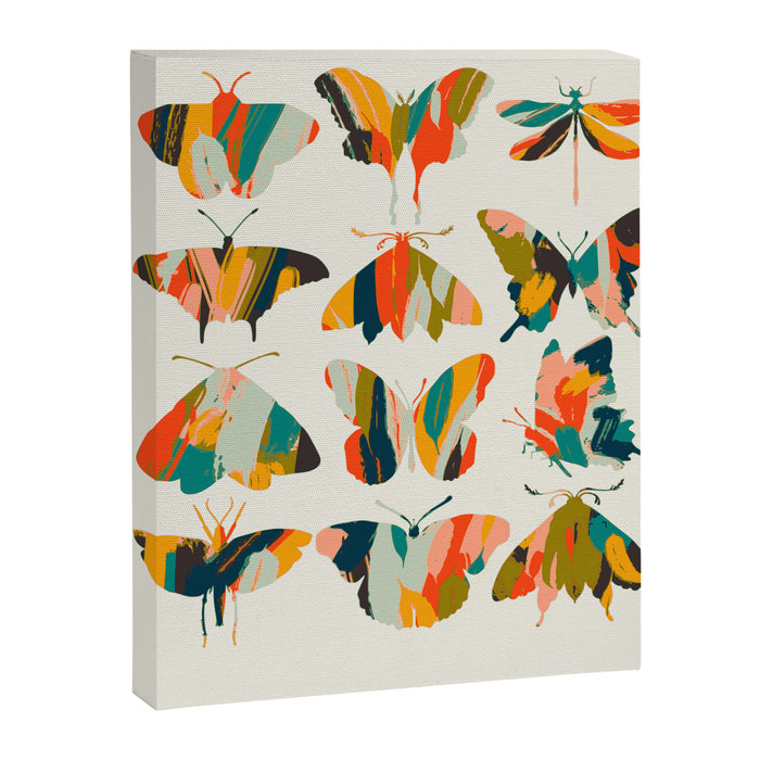 colorful butterflies Canvas Print Gallery Image 1