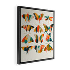 colorful butterflies Framed Canvas Print Gallery Image 2