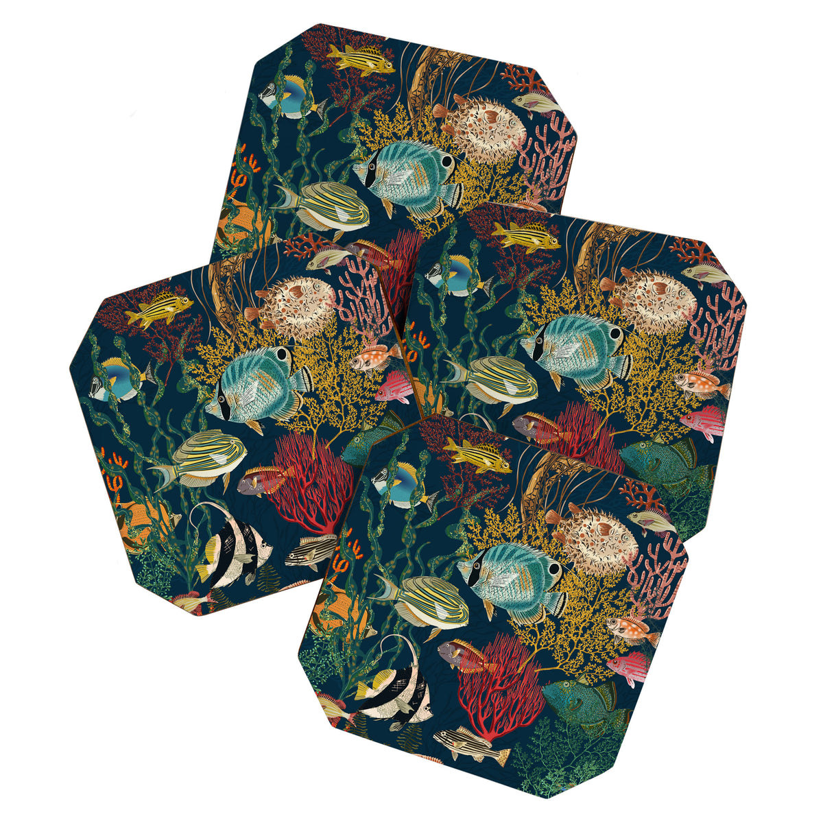 coral reef deep silence Coaster Gallery Image 1