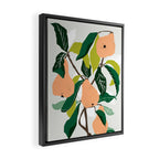 Orange Pears Framed Canvas Print Gallery Image 2