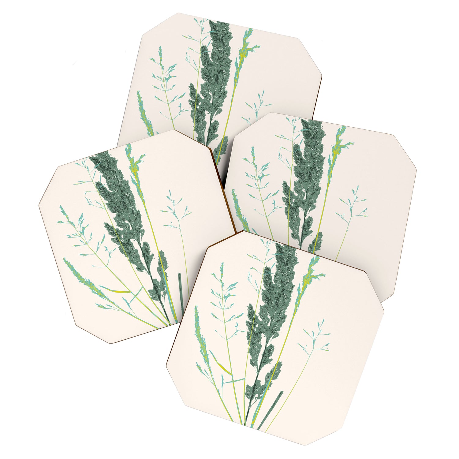 Plant based happyness Grasses 2 still life Coaster Gallery Image 1