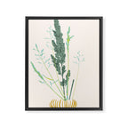 Plant based happyness Grasses 2 still life Framed Canvas Print Gallery Image 6