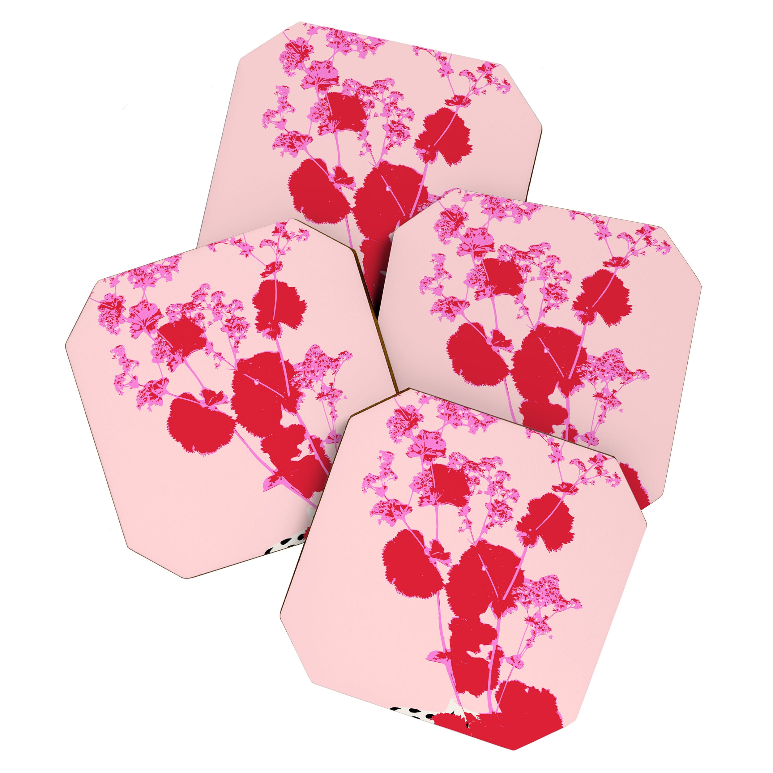 Plant based happyness lady's-mantle still life Coaster Gallery Image 1