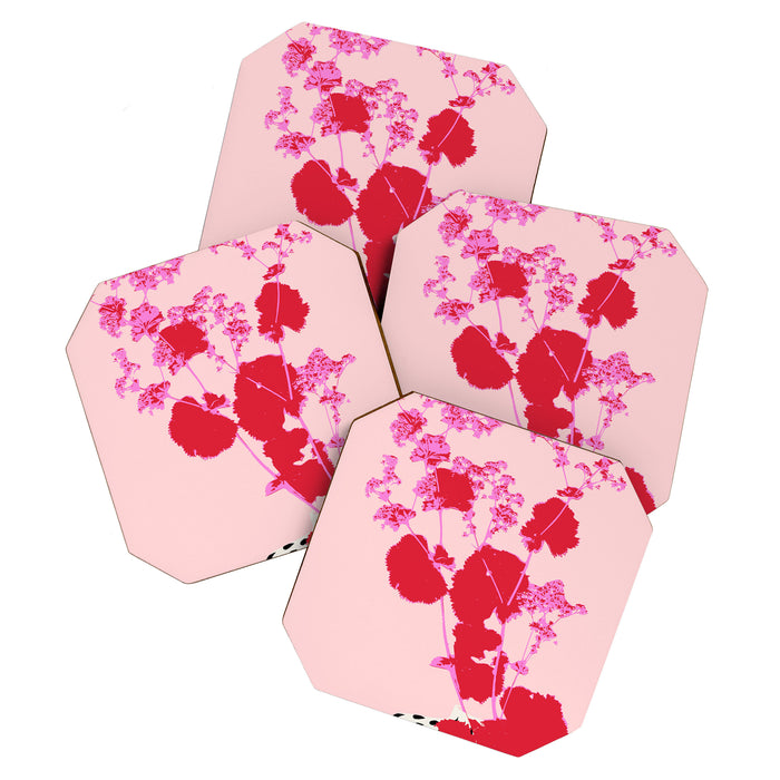 Plant based happyness lady's-mantle still life Coaster Gallery Image 1